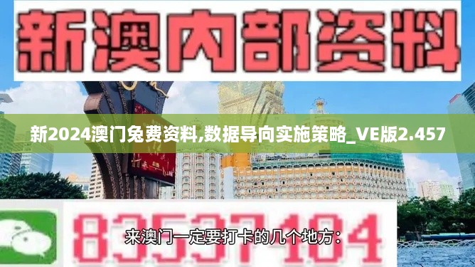 新2024澳門兔費資料,數(shù)據(jù)導向?qū)嵤┎呗訽VE版2.457