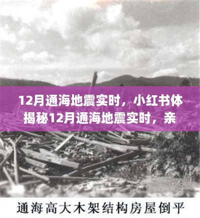 揭秘通海地震親歷者真實感受與應(yīng)對策略，小紅書實時更新地震動態(tài)！