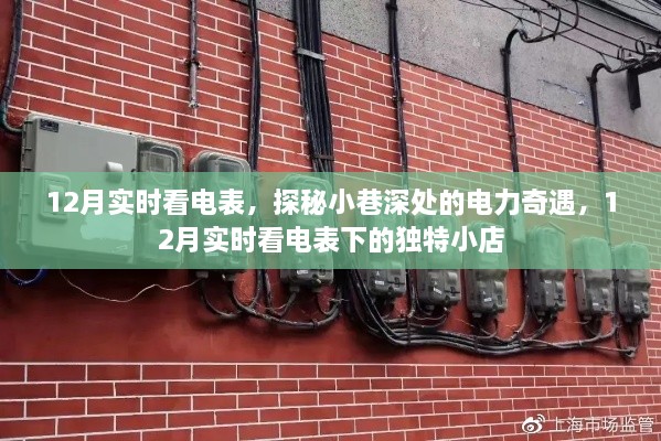 探秘小巷深處的電力奇遇，實時觀察電表下的獨特小店生活