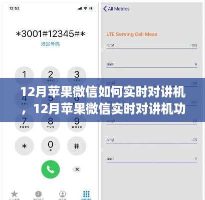 12月蘋(píng)果微信實(shí)時(shí)對(duì)講機(jī)功能使用指南，步驟詳解與操作技巧