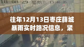 棗莊薛城暴雨預(yù)警，實時路況信息及雨季安全指南（12月13日）