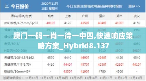 澳門(mén)一碼一肖一待一中四,快速響應(yīng)策略方案_Hybrid8.137