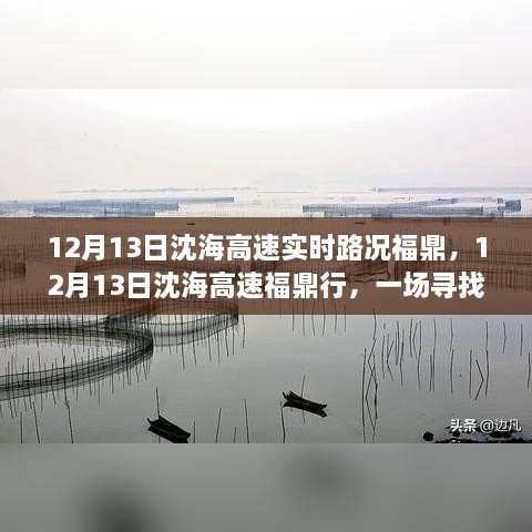 12月13日沈海高速福鼎路況實時更新，心靈與自然之旅的親密接觸