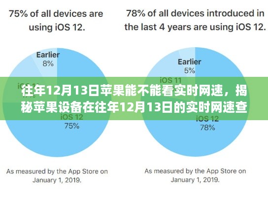 揭秘，往年12月13日蘋果設(shè)備實(shí)時(shí)網(wǎng)速查看功能解析