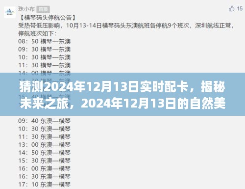 揭秘未來之旅，啟程尋找內(nèi)心的寧靜與平和——2024年12月13日自然美景配卡猜想