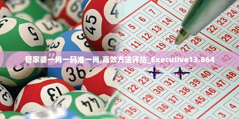 管家婆一肖一碼準一肖,高效方法評估_Executive13.864