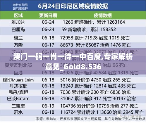 澳門一碼一肖一待一中百度,專家解析意見(jiàn)_Gold8.536