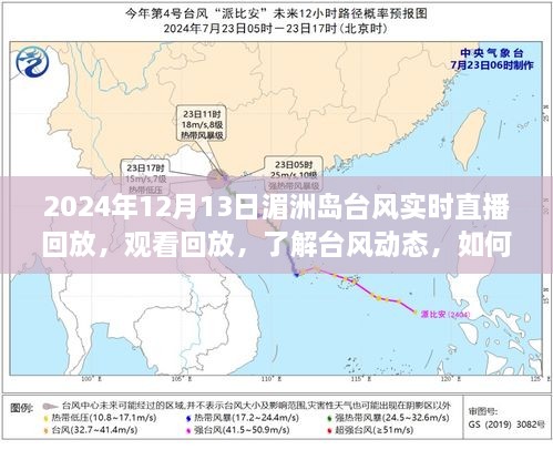 2024年12月19日 第26頁