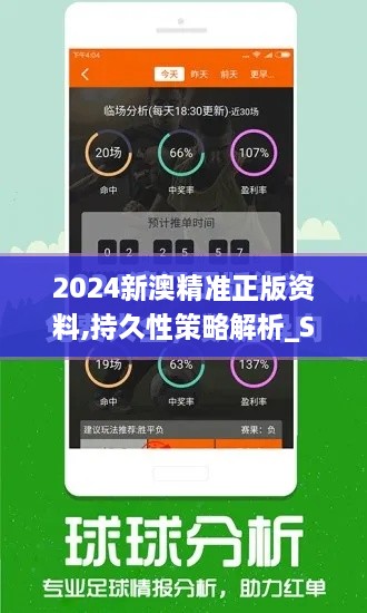 2024新澳精準(zhǔn)正版資料,持久性策略解析_SE版4.140