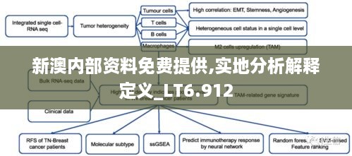 新澳內(nèi)部資料免費(fèi)提供,實(shí)地分析解釋定義_LT6.912