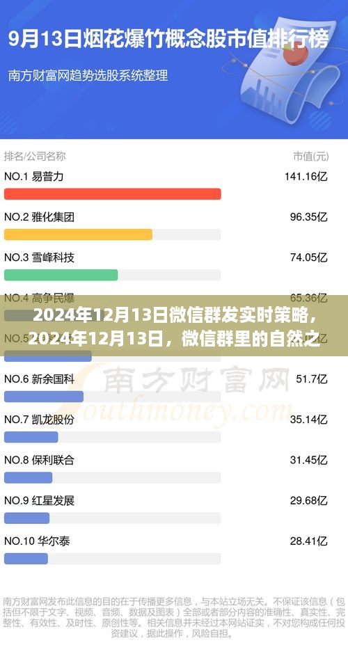 微信群內(nèi)探尋心靈之旅，寧靜與遠方風景的實時策略分享