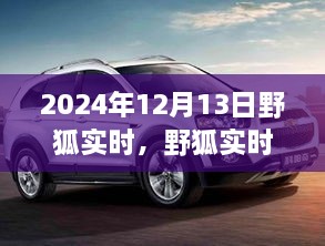 野狐實(shí)時(shí)，溫馨日常中的歡樂(lè)時(shí)光（2024年12月13日）