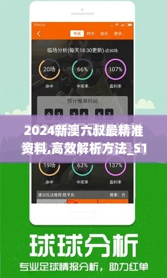 2024新澳六叔最精準(zhǔn)資料,高效解析方法_S12.507