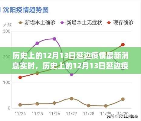 多維度視角下的深度分析，歷史上的延邊疫情最新消息實(shí)時(shí)報(bào)道與解讀（截至12月13日）