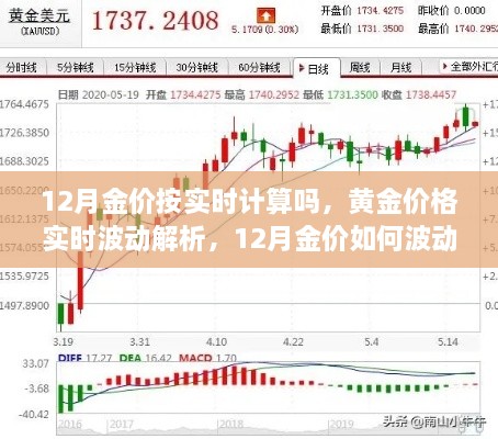 12月黃金價格實時解析，波動原因及預(yù)測