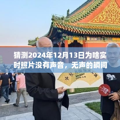 揭秘?zé)o聲瞬間背后的故事，為何2024年實(shí)時(shí)照片無聲開啟學(xué)習(xí)與成長(zhǎng)之旅？