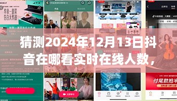 未來視野之旅，揭秘2024年抖音實(shí)時(shí)在線人數(shù)盛況——家庭日，在線情緣的見證