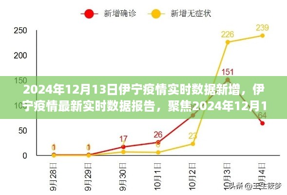 2024年12月13日伊寧疫情實時數(shù)據(jù)報告，聚焦最新新增情況