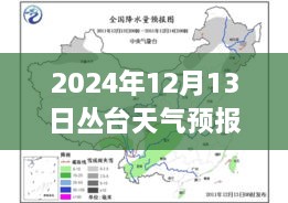 叢臺天氣預(yù)報實時洞察，2024年12月13日的天氣分析與影響