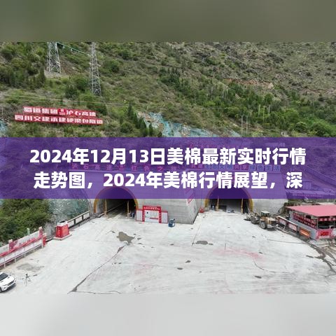 深度解析，2024年美棉行情展望與實(shí)時(shí)走勢(shì)圖背后的爭(zhēng)議