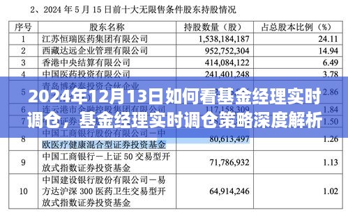 基金經(jīng)理實(shí)時調(diào)倉深度解析，洞悉策略與投資機(jī)會（2024年12月13日投資洞察）