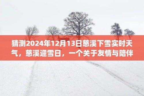 慈溪雪日溫情，友情與陪伴的溫馨故事，預(yù)測2024年12月13日實(shí)時(shí)天氣