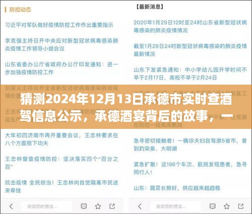 承德酒宴背后的故事，酒駕信息公示探秘之旅（猜測2024年12月13日承德市實時查酒駕信息公示）