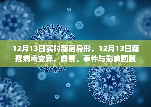 回顧，新冠病毒變異背景、事件與影響——以12月13日新冠病毒變異為例