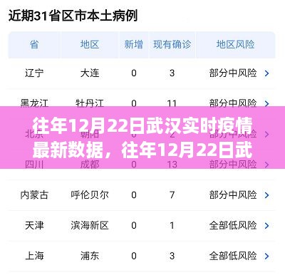 往年12月22日武漢實時疫情數(shù)據(jù)深度解析，特性、體驗、競品對比及用戶群體分析報告