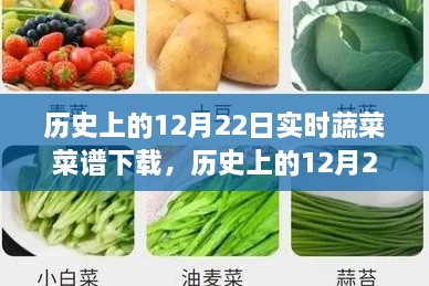 歷史上的12月22日實(shí)時(shí)蔬菜菜譜下載，價(jià)值探討與觀點(diǎn)論述