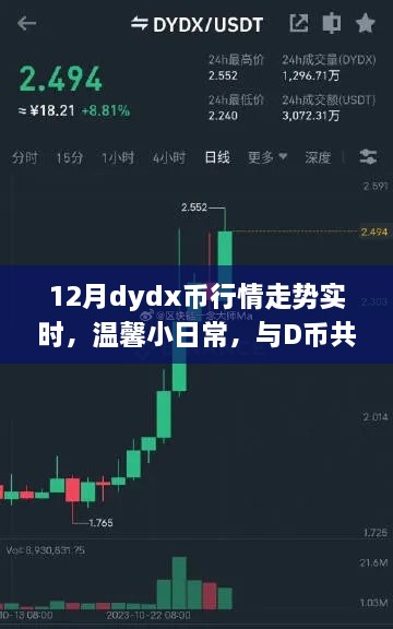 12月dydx幣行情下的快樂時光，實時走勢與溫馨日常