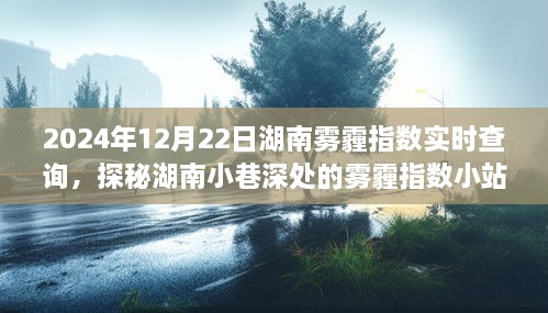 探秘湖南小巷深處，霧霾指數(shù)小站實(shí)時(shí)查詢之旅（2024年12月22日）