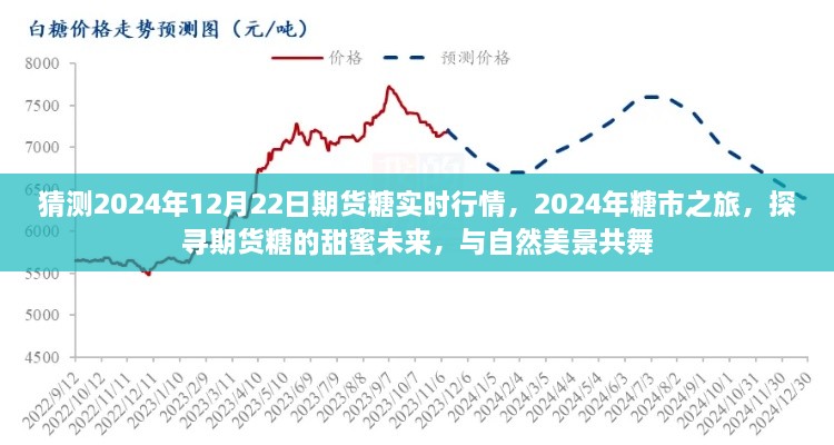 探尋期貨糖的甜蜜未來，預(yù)測2024年糖市行情與期貨糖實(shí)時(shí)行情展望