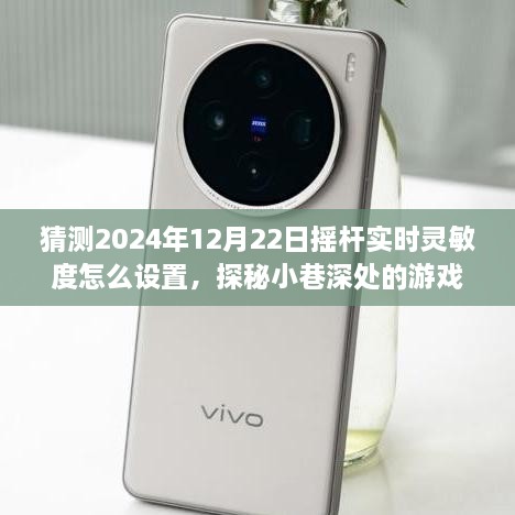 探秘游戲秘境，2024年搖桿實時靈敏度調(diào)整指南與獨特小店之旅揭秘游戲細節(jié)，小巷深處的游戲秘境等你來探探。