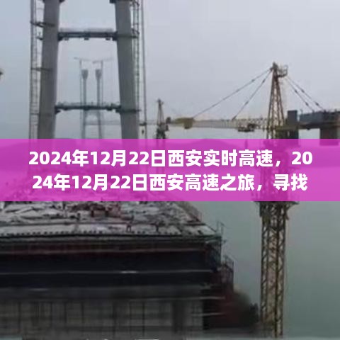 西安高速之旅，探尋自然懷抱，心靈寧靜之旅（2024年12月22日）