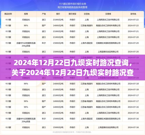 2024年12月22日九壩實(shí)時(shí)路況全面解析與查詢