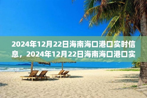 2024年12月22日海南?？诟劭趯崟r信息全解析，小紅書帶你掌握最新動態(tài)