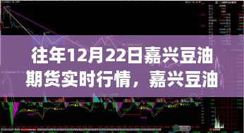 往年12月22日嘉興豆油期貨行情回顧，溫情時(shí)光與期貨市場(chǎng)的奇妙交匯