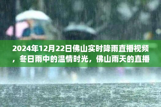 溫情時光與友情故事，佛山雨天直播實錄，實時降雨直播視頻