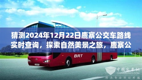 鹿寨公交路線新探秘，啟程2024年12月22日，探尋自然美景之旅實(shí)時(shí)查詢