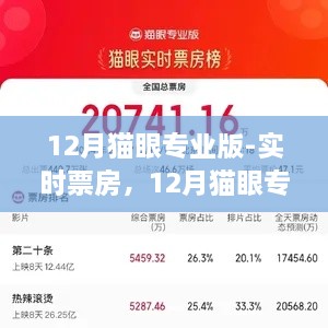 12月貓眼專業(yè)版實(shí)時(shí)票房解析，電影市場(chǎng)深度洞察