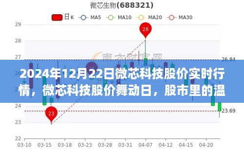 微芯科技股價(jià)實(shí)時(shí)行情解析，股市中的溫情故事在舞動(dòng)日展現(xiàn)（2024年12月22日）