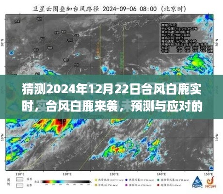 2024年12月26日 第2頁