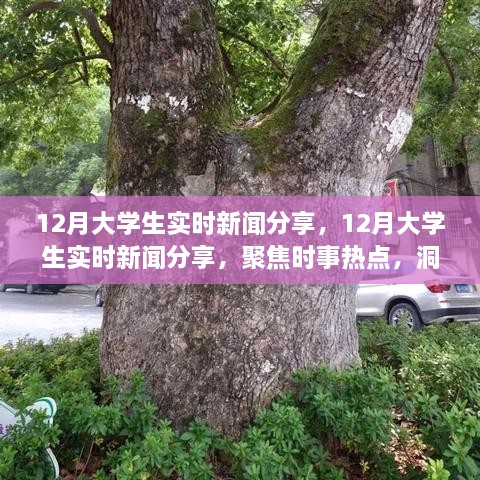 聚焦時(shí)事熱點(diǎn)，大學(xué)生實(shí)時(shí)新聞分享，洞察時(shí)代變遷的十二月觀察