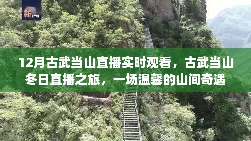 古武當(dāng)山冬日直播之旅，探尋山間奇遇的溫馨之旅