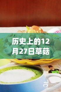 2024年12月 第28頁(yè)