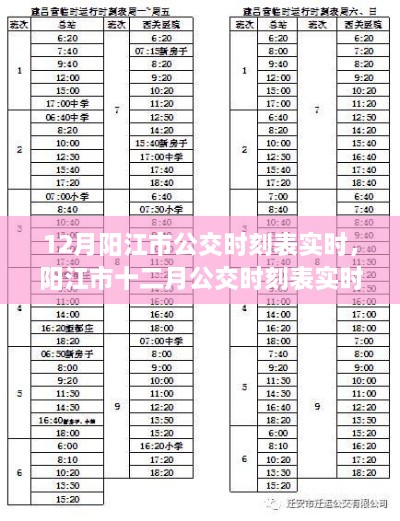 陽江市公交時刻表實時更新解析，十二月公交運營動態(tài)觀察