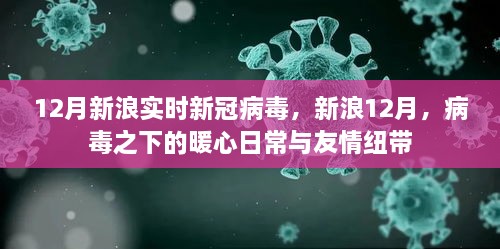 新浪12月，病毒下的暖心日常與友情紐帶，實時新冠病毒報道