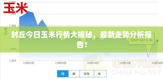 封丘今日玉米行情大揭秘，最新走勢分析報(bào)告！