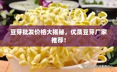 豆芽批發(fā)價(jià)格大揭秘，優(yōu)質(zhì)豆芽廠(chǎng)家推薦！